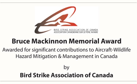 Bruce Mackinnon Memorial Award