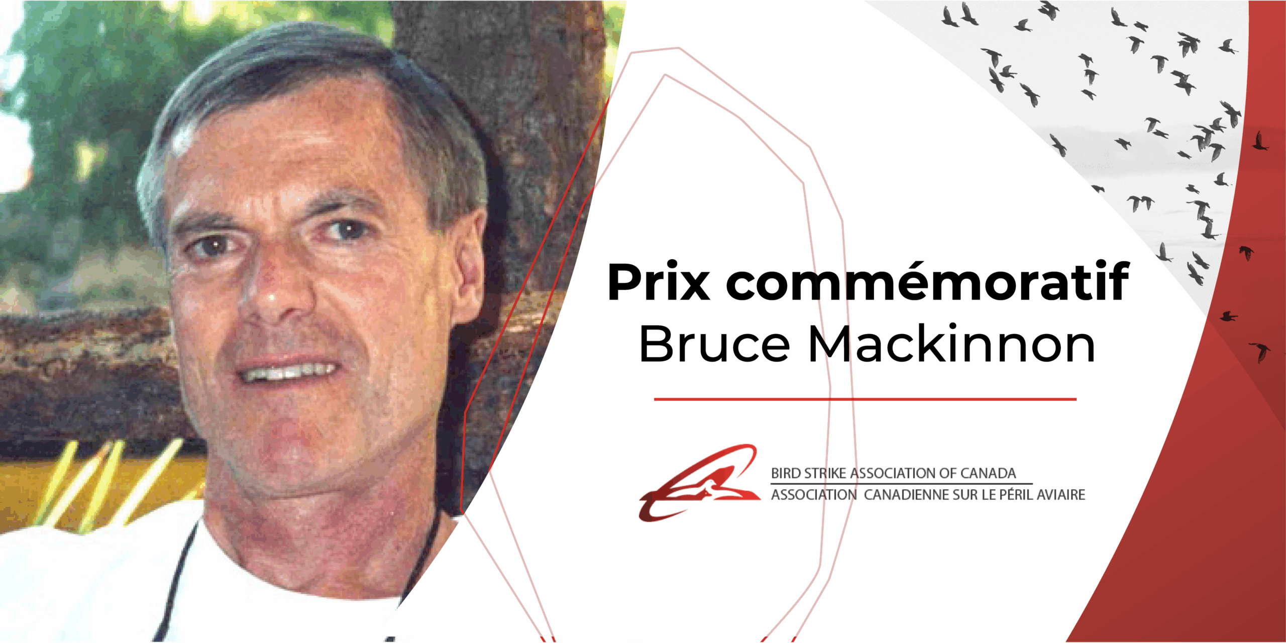 Visual Bruce mackinnon Award-FR
