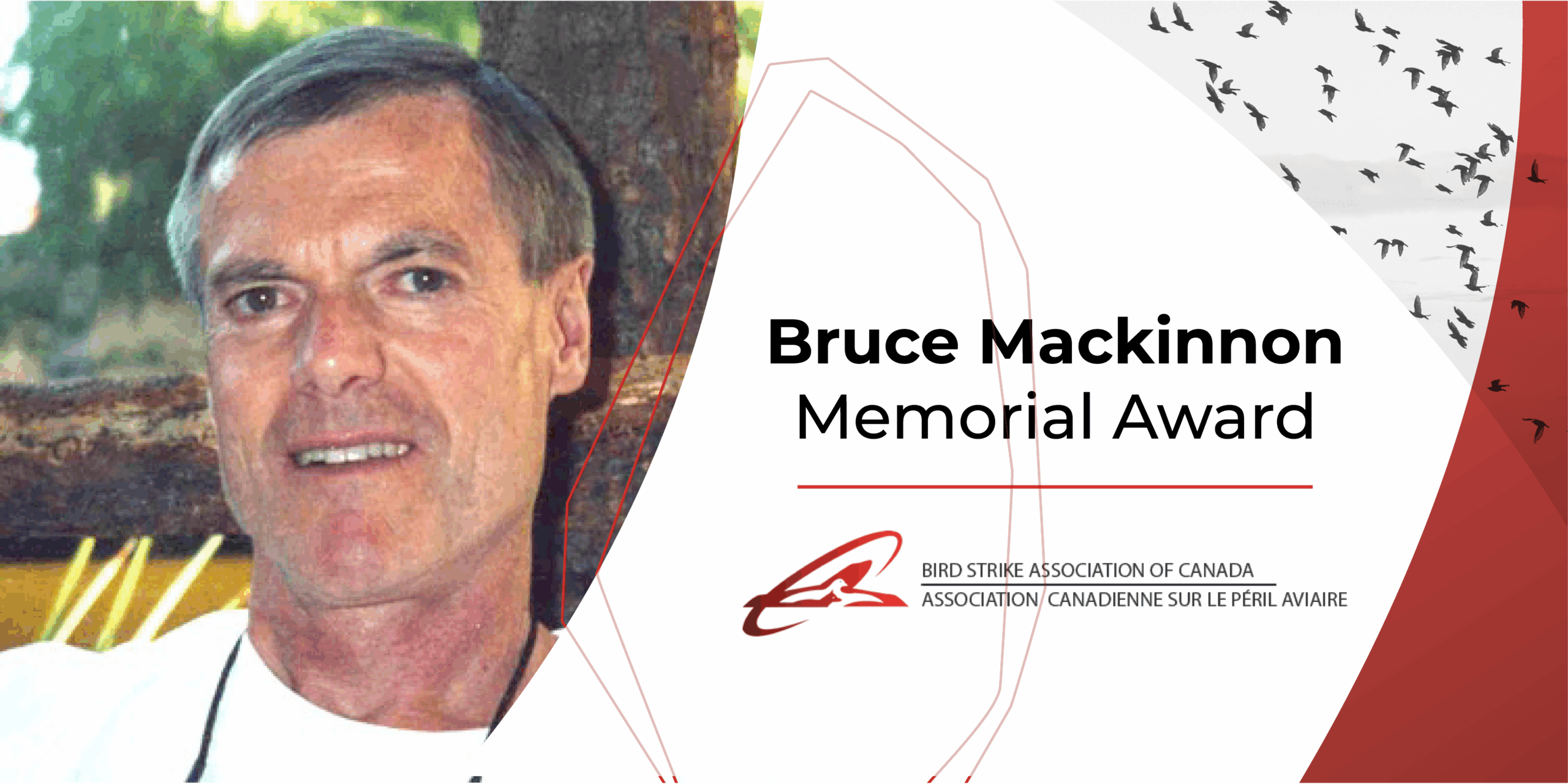 Visual Bruce mackinnon Award-VENG